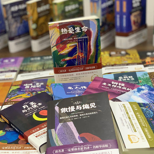 名家名译.名师导读《世界文学名著》这一套就够了！ 商品图9