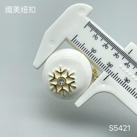 S5421 商品图3
