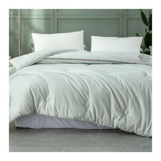 多喜爱　火山岩冬被〈帕卡纳火山岩发热锁温冬被〉 商品图4