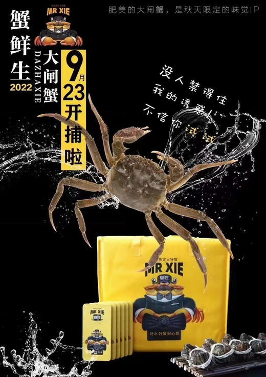 【实物】‘蟹鲜生’阳澄湖大闸蟹🦀️，只做高品质大闸蟹！每一只来自阳澄湖基地，每一只都佩戴阳澄湖商会颁发的防伪指环，可以溯源！ 商品图6