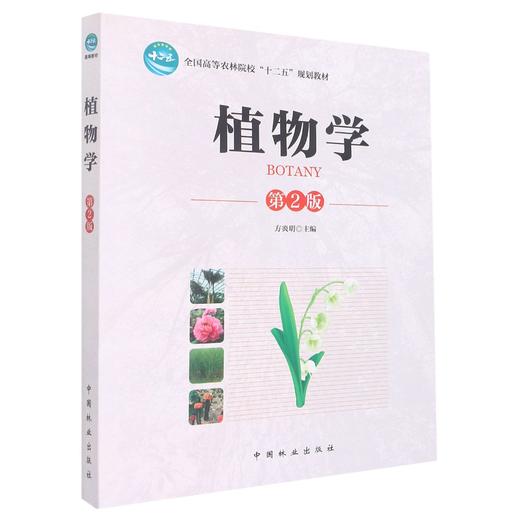 植物学 第二版 商品图0