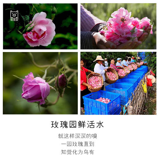 【加送5片盒装玫瑰花萃面膜】原料级150ml四川产大马士革玫瑰园鲜活水 喷雾 小分子爽肤水 天然玫瑰香氛 提亮 肤色 淡化 保湿  冻干胶原球CP 商品图4