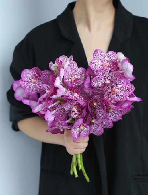 胡姬兰【你若盛开，蝴蝶自来】简小姐精选 进口胡姬兰/万代兰2枝 2件包邮 下单5天发货 商品图1