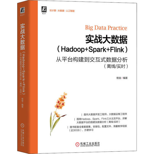 实战大数据(Hadoop+Spark+Flink) 从平台构建到交互式数据分析(离线/实时) 商品图0