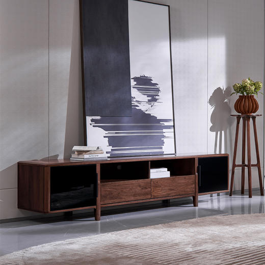 【现代风-CY231电视柜】现代风/客厅/北美黑胡桃/实木电视柜 商品图0
