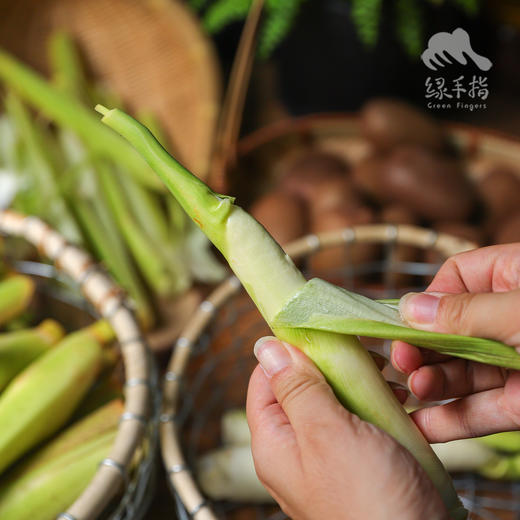 生态茭白 |  合作生产* Ecological water oat | Coproduction 商品图7