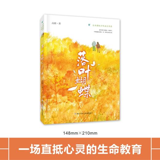 落叶蝴蝶    六年级共读书小学生6年级课外读物名师推荐 商品图3