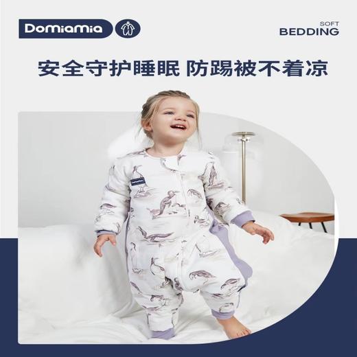 Domiamia哆咪呀婴儿恒温睡袋秋冬宝宝分腿儿童新生儿四季防踢被子 商品图0