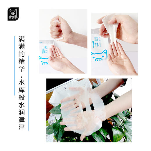 十二年经典 新鲜入库 5片盒装&50片真爱院装雪耳水库面膜 雪耳银耳 植物玻尿酸 温和破皮可用 水津津水润润水灵灵 商品图10