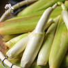 生态茭白 |  合作生产* Ecological water oat | Coproduction 商品缩略图5