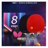 蝴蝶8系列成品乒乓拍TBC-801 商品缩略图2