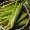 生态茭白 |  合作生产* Ecological water oat | Coproduction 商品缩略图9