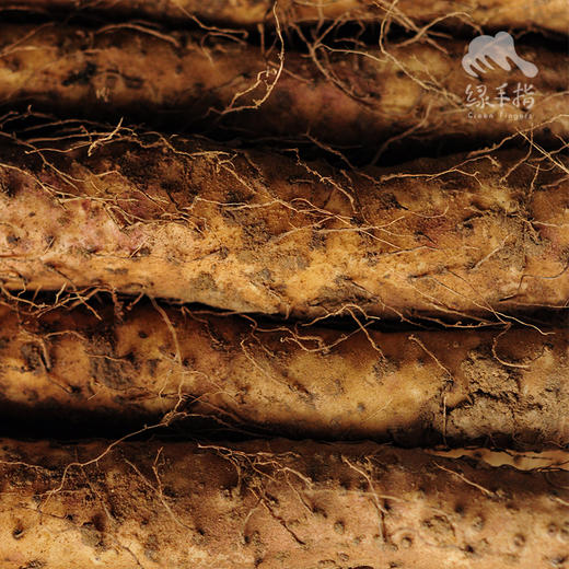 有机山药（北京）  | 合作生产 *   Ecological yam | Coproduction 商品图3