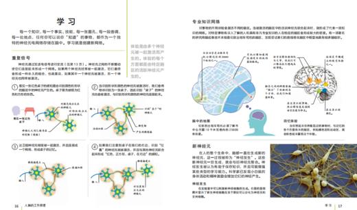 DK 大脑高效锻炼大百科 (适合9~99岁） 商品图2