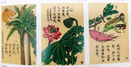 《民国老图画经典图库（附光盘）》，16开盒装，海豚出版社2016年一版一印，原价390元，售价118元。 商品图9