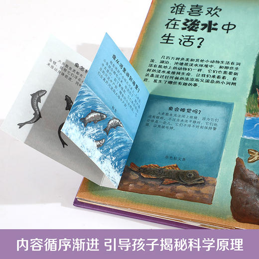 乐乐趣-动物是如何生活的 商品图4