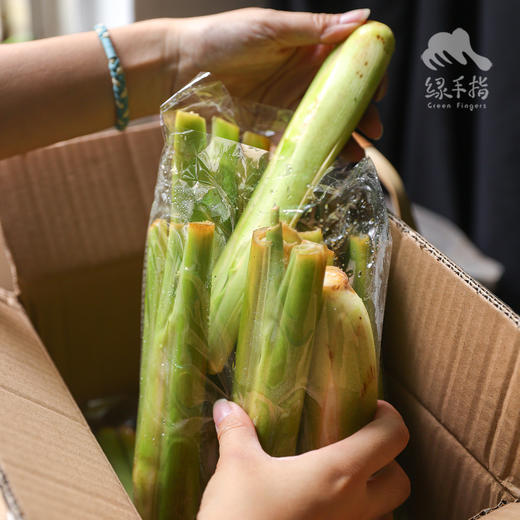 生态茭白 |  合作生产* Ecological water oat | Coproduction 商品图10