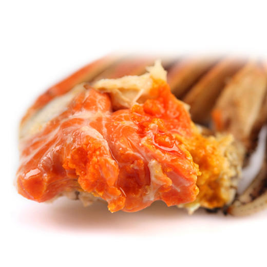 【活蟹】【阳澄湖大闸蟹】蟹众 公4.5两 母3.5两 4对8只装螃蟹礼盒 商品图3