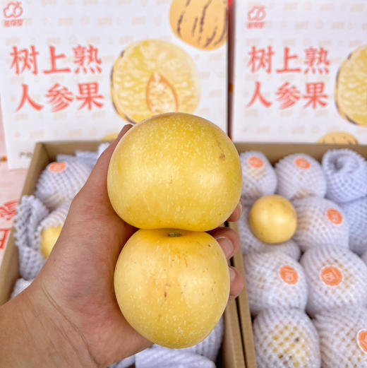 【人参果/七彩果】云南人参果，也叫七彩果，有抗衰抗瘤、降糖、稳压、强心、益智、硒含量超过许多蔬菜和水果！ 商品图9