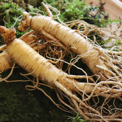 长白山新鲜人参顺丰包邮 商品图1