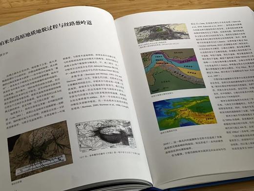 《器服物佩好无疆：东西文明交汇的阿富汗国家宝藏》（增订版），清华大学艺术博物馆编，16开，精装，页数不详，1.28kg，上海书画出版社2022年一版一印。定价258，售价198元。
  商品图14