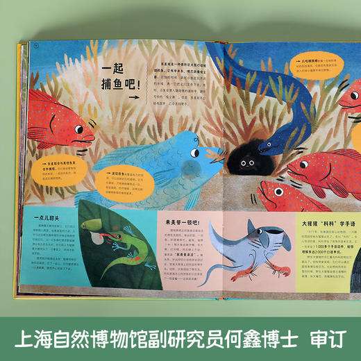 乐乐趣-如何与老虎聊天 动物之间神奇的交流方式 商品图4