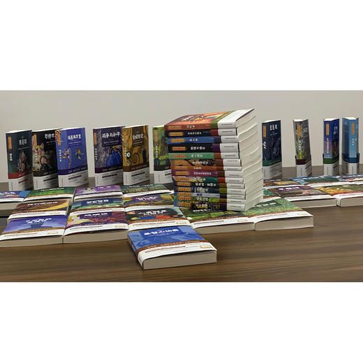 名家名译.名师导读《世界文学名著》这一套就够了！ 商品图10