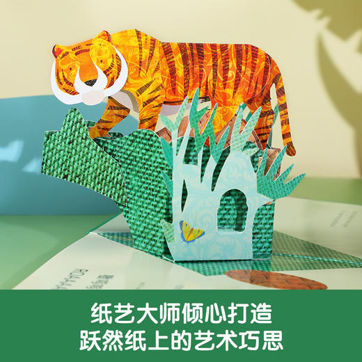 乐乐趣-我的纸上动物园立体书（精装4册） 商品图2
