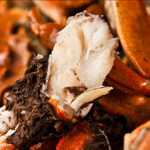 【活蟹】【阳澄湖大闸蟹】蟹众 公4.5两 母3.5两 4对8只装螃蟹礼盒 商品图4