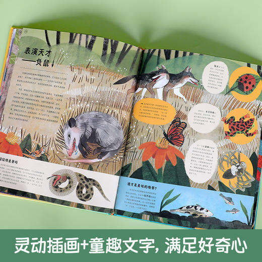 乐乐趣-如何与老虎聊天 动物之间神奇的交流方式 商品图3