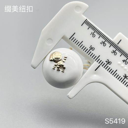 S5419 商品图2