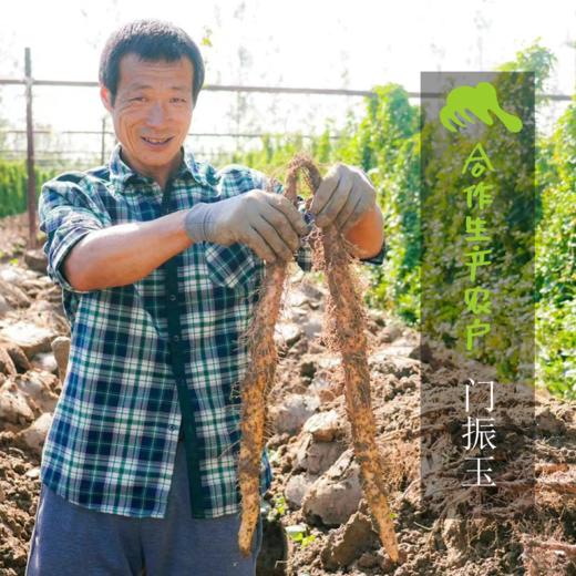有机山药（北京）  | 合作生产 *   Ecological yam | Coproduction 商品图1