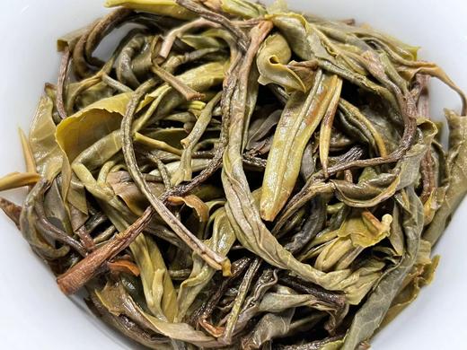 22春·南糯山·古树古树·200克饼 商品图4