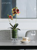 新中式仿真蝴蝶兰摆件假花酒店客厅餐桌玄关花卉仿真花装饰摆设花 商品缩略图0