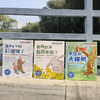 美国心理学会儿童情绪管理绘本：爱与生命教育系列 商品缩略图9