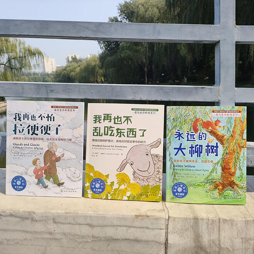 美国心理学会儿童情绪管理绘本：爱与生命教育系列 商品图9