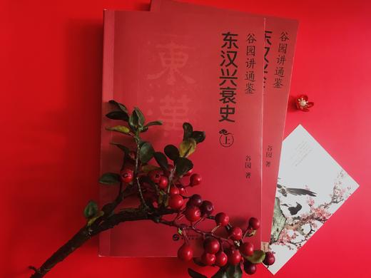 《谷园讲通鉴 东汉兴衰史》全2册，一部简明生动的东汉史！妙趣通解《后汉书》，谋略博弈，思想激荡，悲歌慷慨！ 商品图2