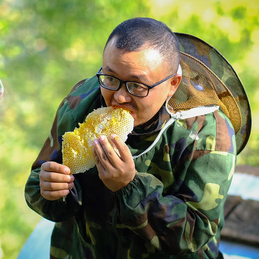 【 秦岭野生蜂蜜 500g/瓶】秦岭大巴山深处的野生百花药蜜 每年只收割一次 每一滴蜜都来之不易 商品图7