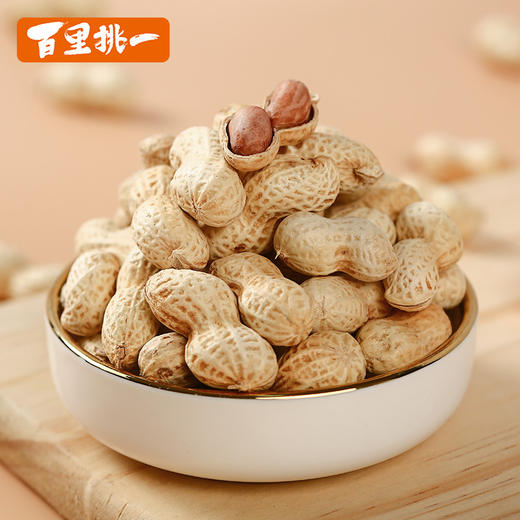 【258g】旭东百里挑一山核桃味花生带壳蒜香椒盐水煮咸干花生零食小吃年货 商品图2