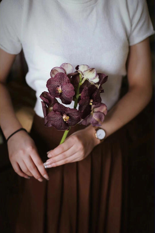 胡姬兰【你若盛开，蝴蝶自来】简小姐精选 进口胡姬兰/万代兰2枝 2件包邮 下单5天发货 商品图7