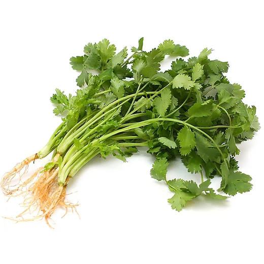 香菜(125g±50g) 商品图0