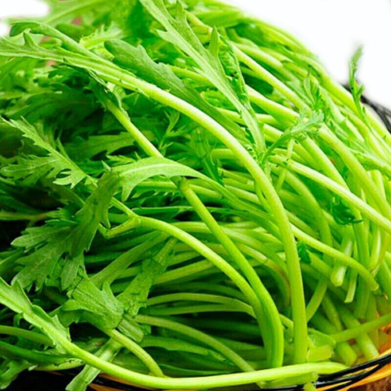 “阿德童年”茼蒿（约300g）