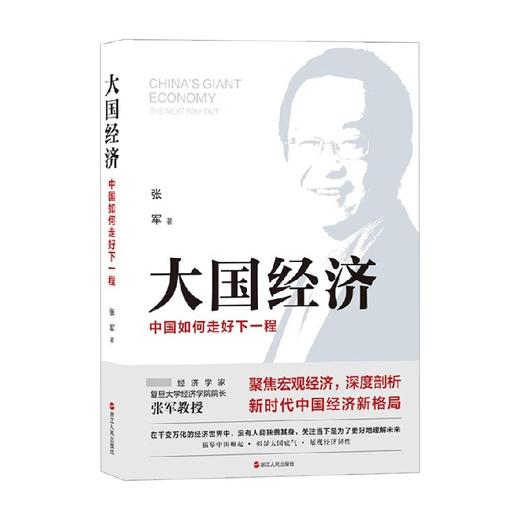 大国经济 中国如何走好下一程 张军 著 聚焦宏观经济 深度剖析新时代中国经济新发展格局 零工经济和产业互联网 商品图1