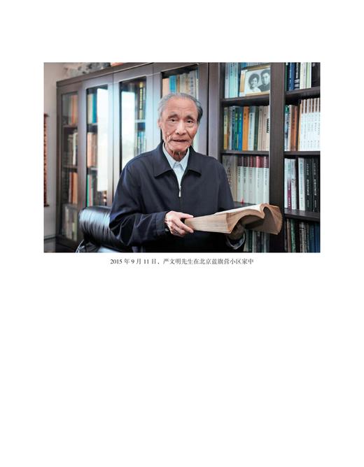 考古学研究（十五）——庆祝严文明先生九十寿辰论文集 商品图3