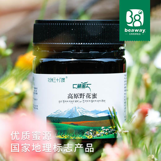 北纬三十八度|高原野花蜜 藏蜜 贵德蜂蜜 中国地理标志产品250g 商品图0