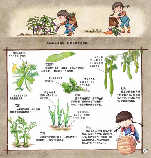 田野里的自然历史课（大开本尊享版、带函套护封）【袁隆平院士推荐】 商品图8