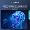海信电视75U6H 75英寸 双240Hz高刷新 130%高色域 4k超高清ULED全面屏 游戏教育液晶电视机线下同款 商品缩略图3