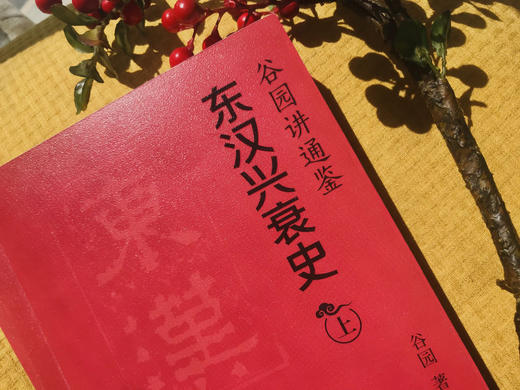 《谷园讲通鉴 东汉兴衰史》全2册，一部简明生动的东汉史！妙趣通解《后汉书》，谋略博弈，思想激荡，悲歌慷慨！ 商品图3