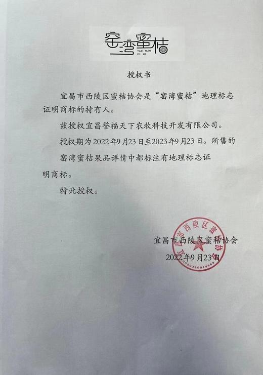 【窑湾蜜桔】24枚橘子新鲜水果宜昌蜜桔当季孕妇水果 商品图7