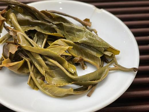 22春·倚邦贡茶·古树档案·200克 商品图5